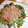 monemaruku's cooksnap of when they made ひと手間で本格的☆簡単サラダ☆.
