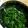 はよち's cooksnap of when they made オクラとモロヘイヤの鰹節醤油和え.