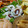 ゆうかりコアラ's cooksnap of when they made ◆梅と大葉のちくわ巻き◆.