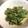 ayn33's cooksnap of when they made わさび菜のごま和え.