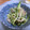 nao94's cooksnap of when they made キュウリとミョウガの梅和え.