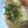 ☆misaoi☆'s cooksnap of when they made 揚げ出し豆腐★きのこおろし庵.