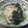 ramieru's cooksnap of when they made めかぶともやしの和え物.