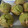 イヴミー's cooksnap of when they made 生クリで抹茶マフィン ＊バター不使用＊.