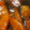 みかるxxx's cooksnap of when they made 簡単おいしい♪サーモンの漬け.