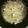 ともさと8888's cooksnap of when they made もやしと豚バラ肉の塩麹蒸し♪.