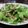 fuwamocos's cooksnap of when they made まいたけサラダ.