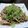 fuwamocos's cooksnap of when they made コンニャクとしめじのヘルシー炒め.