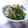 ミマト's cooksnap of when they made さっぱり、おいしいゴーヤの和え物.