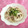 みなみんくっきんぐ's cooksnap of when they made イカのツナマヨ和え.