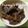 MrsYummy's cooksnap of when they made 牛肉と南瓜の五香粉煮.