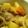 さぁ★たぁ★'s cooksnap of when they made 生姜肉じゃが.