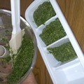 ももりんひな's cooksnap of when they made ジェノベーゼ万能ソース(バジルソース).
