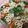 ちーはる's cooksnap of when they made 甘辛牛肉とクレソンのちらし寿司.