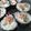 とも0806's cooksnap of when they made 節分に♪サーモンとクリームチーズ海苔巻き.