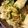 milu.milu's cooksnap of when they made 簡単★薬味たっぷり水餃子.