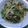 やながわりお's cooksnap of when they made 簡単に♪海苔と水菜のパスタ♪.