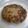 ふえのーる's cooksnap of when they made ニンジンたっぷりブタ肉ハンバーグ.