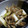 お犬様5's cooksnap of when they made 長ネギと舞茸の塩炒め.