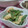 あやmamaaちゃん's cooksnap of when they made いんげんのニンニクごま和え.