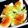 ひとりでできるもん。's cooksnap of when they made ＊簡単おつまみ＊にんにく香味味玉.