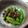 あいaiaiあい's cooksnap of when they made ししとうのじゃこ炒め.