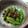 あいaiaiあい's cooksnap of when they made ししとうのじゃこ炒め.