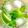 naoexoxo's cooksnap of when they made Mojito (モヒート).