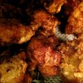 さくら11's cooksnap of when they made 唐揚げ粉を使わない 鶏の唐揚げ（竜田揚）.