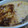 ひろぱんだ♪'s cooksnap of when they made とろとろフワフワ　やまいもステーキ.