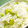 kemi374's cooksnap of when they made 簡単枝豆ごはん.