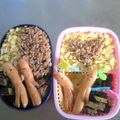 レモン４７'s cooksnap of when they made キレイで自画自賛♡春のそぼろ弁当♡.