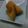 きさきﾏﾏ's cooksnap of when they made かぼちゃの煮物☆.
