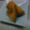 きさきﾏﾏ's cooksnap of when they made かぼちゃの煮物☆.