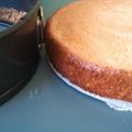 pirada's cooksnap of when they made 膨らむ！基本のふんわりスポンジケーキ.