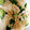 ネズミの子's cooksnap of when they made きゅうりと豆腐のごま味噌だれ.