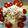 saki1230's cooksnap of when they made ツナ☆キャベツ☆マカロニ☆サラダ.