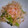 sawasour's cooksnap of when they made ☆小松菜・えのきのみぞれ和え☆.