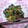 amorexx's cooksnap of when they made ♪なすとピーマンの味噌炒め♪.