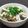 つばめ's cooksnap of when they made 焼き茄子とささみのさっぱり梅うどん.