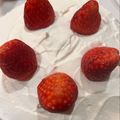 matsukusa's cooksnap of when they made 簡単おいしい！みんな大好きショートケーキ.