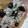 ばたみそーぱん☆'s cooksnap of when they made 絶対おいしい！黒豆のおこわ.