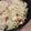 こはる太郎's cooksnap of when they made 簡単！キャベツとウインナーのパスタ.