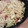 こはる太郎's cooksnap of when they made 簡単！キャベツとウインナーのパスタ.