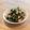 ねっけつω's cooksnap of when they made かつお菜の炒め煮.