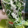 のんべぇヒロ's cooksnap of when they made ほうれん草や春菊に！青菜の保存法☆.