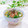 Satoco❋'s cooksnap of when they made 夏は冷やして♪白だしで簡単お茶漬け.