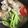 まーあす☆'s cooksnap of when they made 鶏塩ひやむぎ★ソーメンでも！.