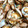 インティー100's cooksnap of when they made あさりの酒蒸し、バター風味.