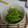 かこみー's cooksnap of when they made ☆ばーちゃん直伝☆枝豆のゆで方.